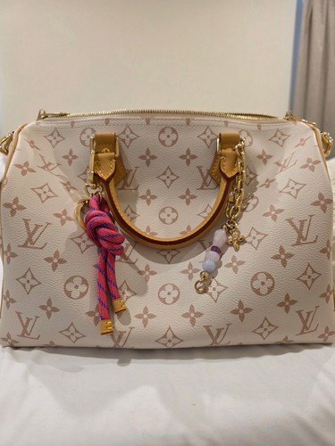 Louis vuitton speedy - vuitton,